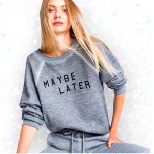Wildfox Grey Pullover Sweatshirt Womens Size Medium